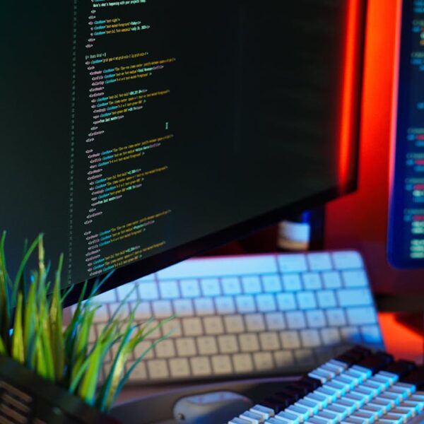 Local pulse Création de sites web